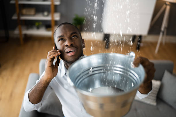  Berrien Springs, MI Water damage restoration Pros