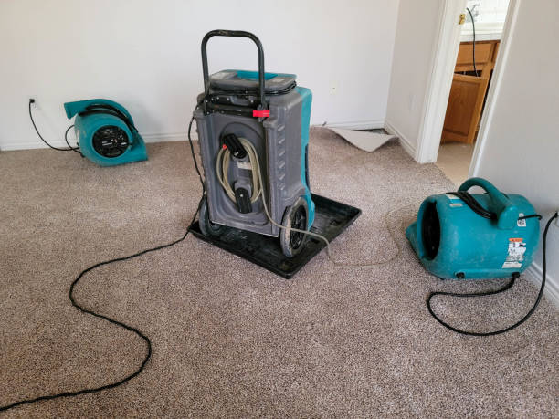Best 24/7 water damage repair  in Berrien Springs, MI