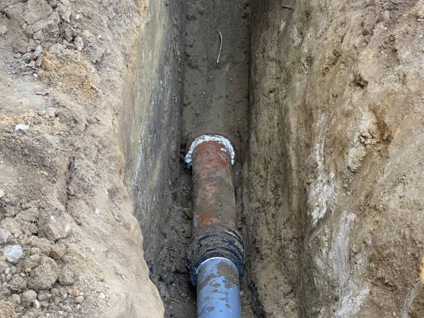 Best Flood damage cleanup  in Berrien Springs, MI