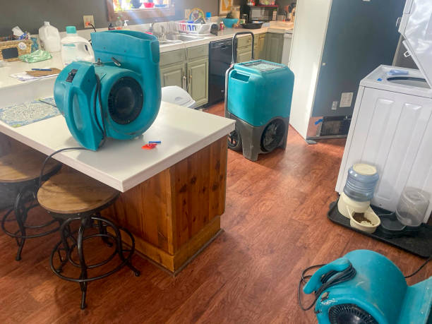 Best Ceiling water damage repair  in Berrien Springs, MI