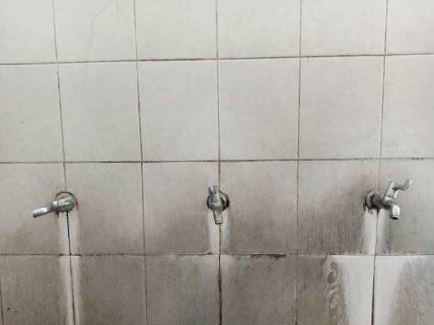 Best Water damage restoration near me  in Berrien Springs, MI