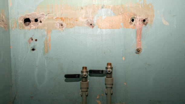 Best Emergency water damage restoration  in Berrien Springs, MI