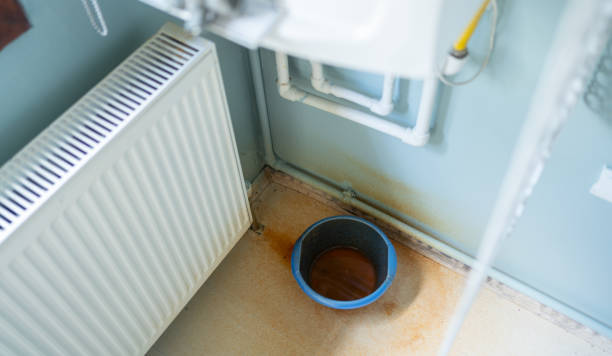 Carpet water damage restoration in Berrien Springs, MI